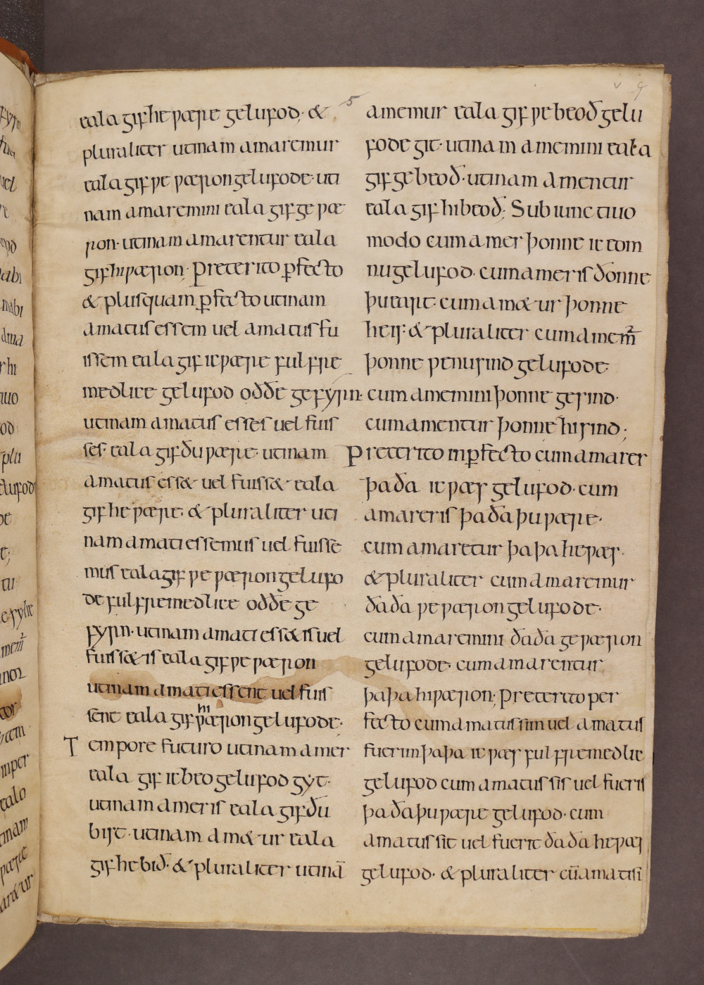 MS 38 Folio v recto